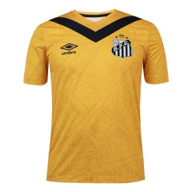 Goedkope Santos FC Third Shirt 2024-25
